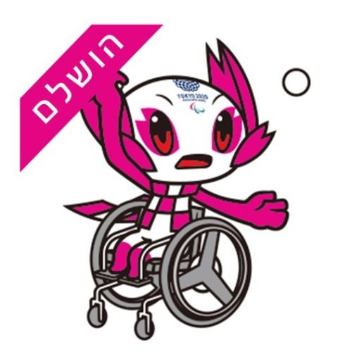 טניס שולחן טניס שולחן