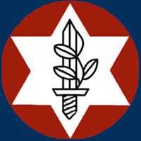 לוגו ארגון נכי צה"ל